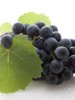 Le raisin et le soja bons contre le risque cardio-vasculaire